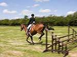 Wanborough Horse and Dog show